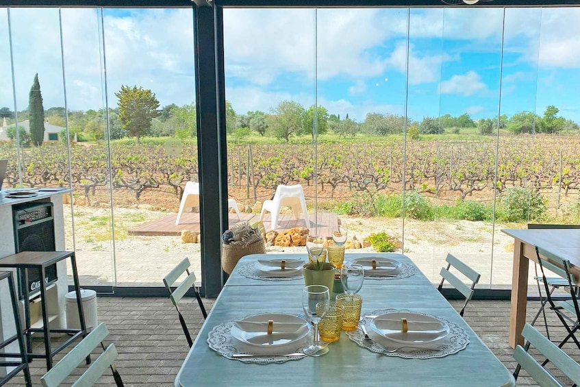 Picture 7 for Activity Carvoeiro/Portimão/Alvor: Wine Tour w/ Tasting, Tapas, Music