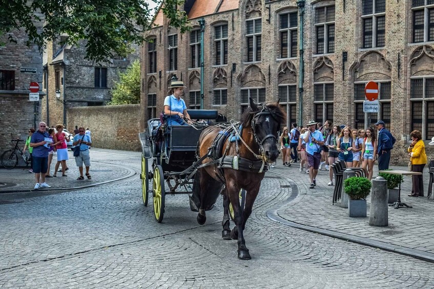 Picture 3 for Activity From Amsterdam: Private Sightseeing Tour to Bruges