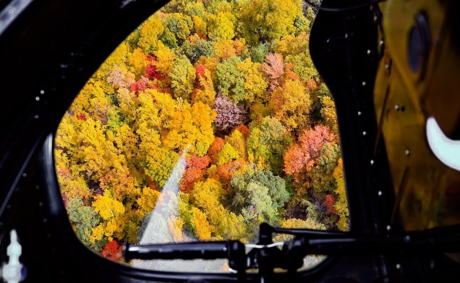 Picture 1 for Activity Pigeon Forge: Helicopter Tour of Gatllinburg