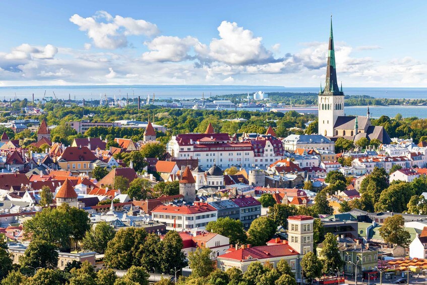 Picture 3 for Activity Tallinn: 1.5-Hour Old Town Walking Tour