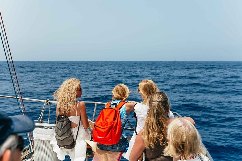 Picture 17 for Activity Costa Adeje: Whale Watching Catamaran Tour with Drinks
