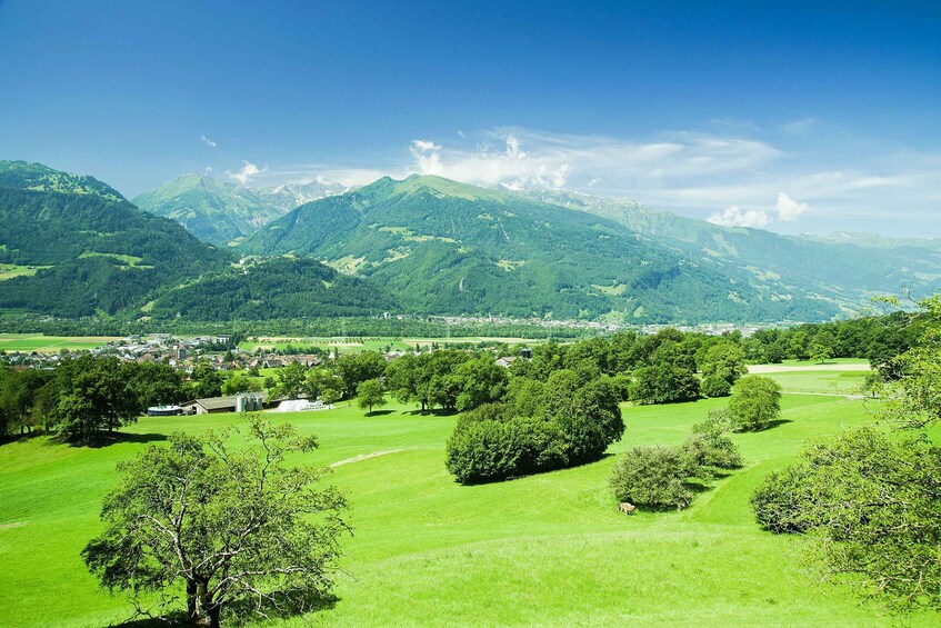 Picture 6 for Activity From Zurich: Private Trip to Liechtenstein and Heidiland