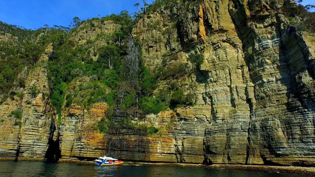Picture 2 for Activity Tasman Peninsula Day Trip with Cruise & Devils from Hobart
