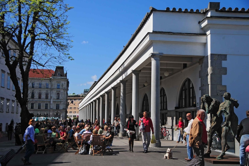 Picture 4 for Activity Small Group (Max 6): Ljubljana Hidden Gems Tour from Koper
