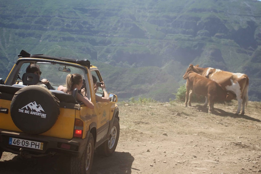 Picture 2 for Activity From Funchal: Guided Tour of Madeira Mountains in a Jeep