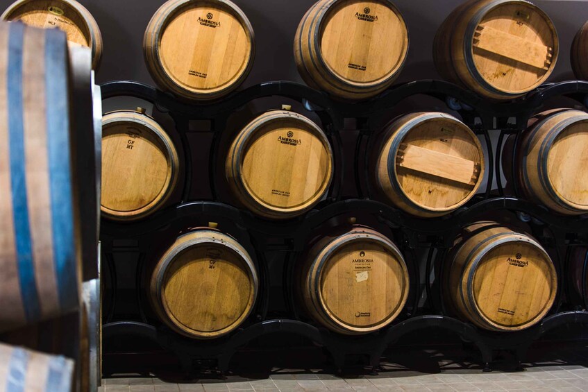 Picture 7 for Activity Chianciano Terme: Boutique Winery Tour with Tastings
