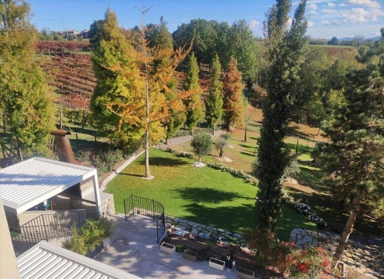 Picture 16 for Activity Modena: Guided Balsamic Vinegar Cellar Tour & Optional Meal