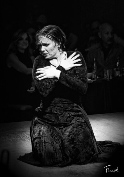 Flamenco Dinner Live Show