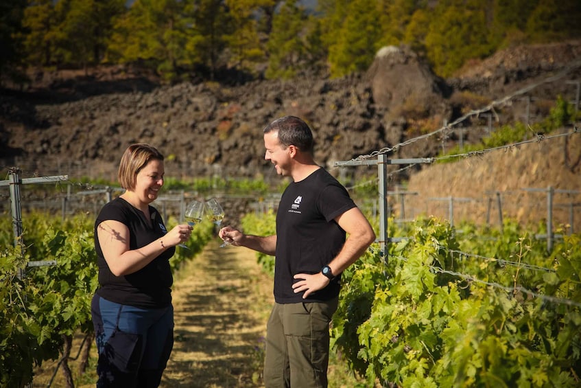 Tenerife: Tour of an Organic Vineyard with Tasting & Snacks