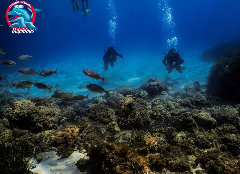 Picture 8 for Activity Gran Canaria: 3-Day Open Water Diver Course