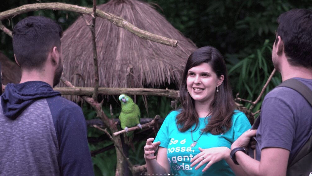 Picture 5 for Activity From Puerto Iguazú: Brazilian Bird Park Tour with Tickets