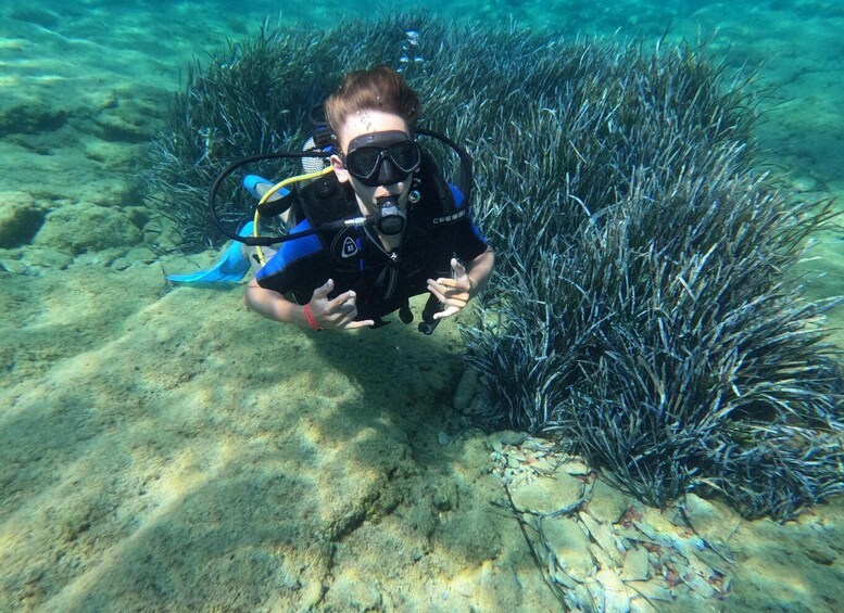 Picture 18 for Activity Heraklion: Scuba Diving Experience for Beginners
