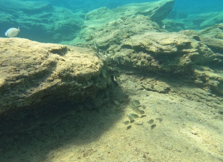 Picture 22 for Activity Heraklion: Scuba Diving Experience for Beginners