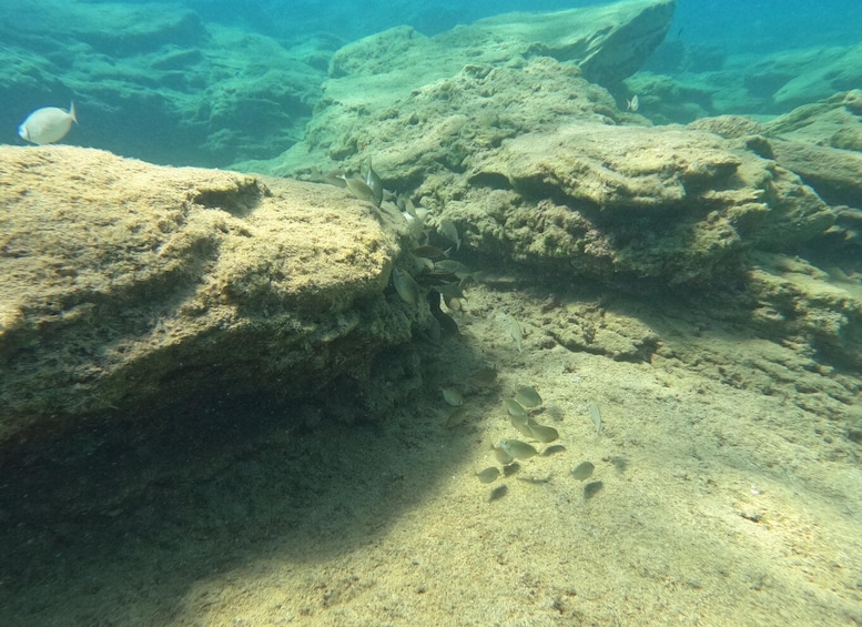 Picture 22 for Activity Heraklion: Scuba Diving Experience for Beginners