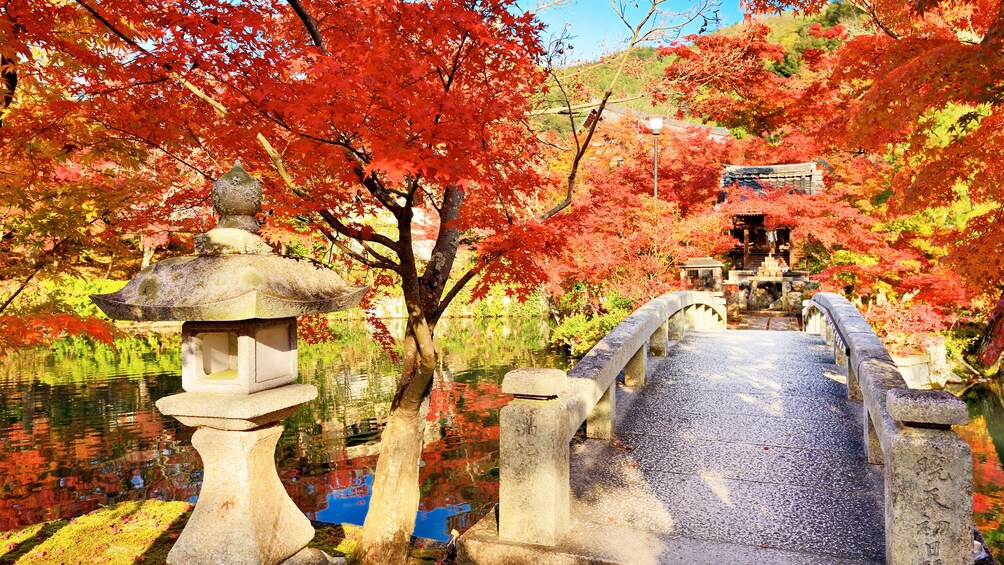 Autumn view in Kyoto 