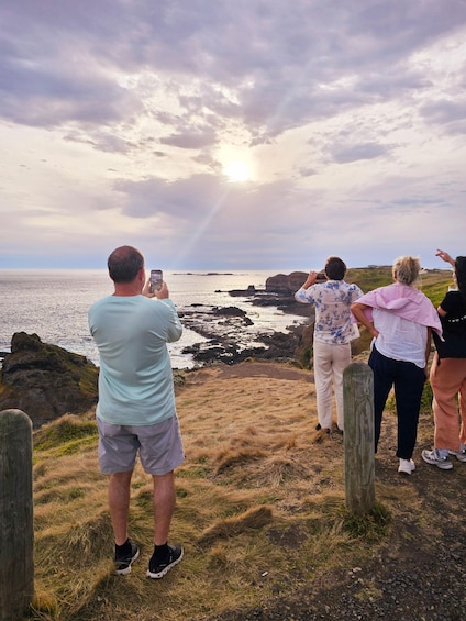 Picture 1 for Activity Melbourne: Boutique Phillip Island Wine and Penguins Tour