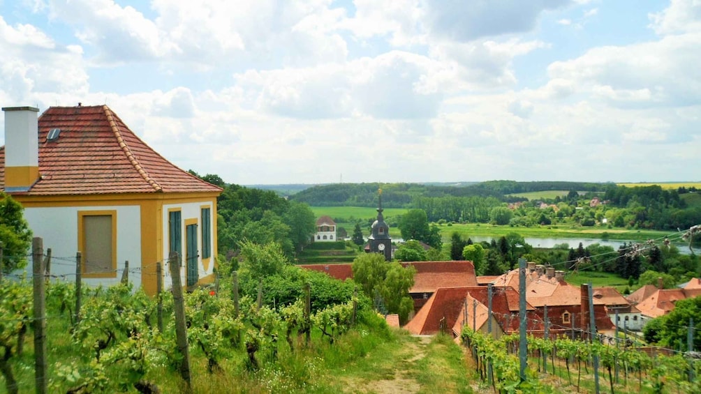 Picture 4 for Activity Dresden: Boat Cruise with Wine Tasting and Snacks