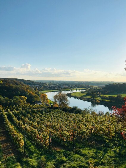 Picture 7 for Activity Dresden: Boat Cruise with Wine Tasting and Snacks