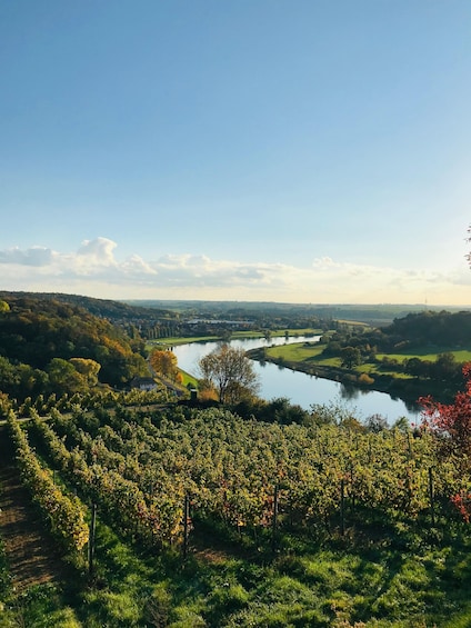 Picture 7 for Activity Dresden: Boat Cruise with Wine Tasting and Snacks