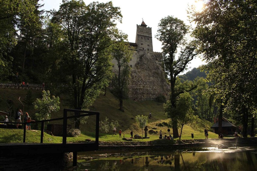 Picture 11 for Activity From Bucharest: Libearty Bear Sanctuary and Dracula's Castle