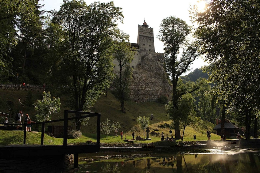 Picture 11 for Activity From Bucharest: Libearty Bear Sanctuary and Dracula's Castle