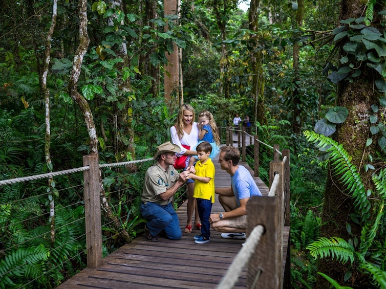 Australian Armour & Artillery Museum with Kuranda Skyrail & Scenic Rail 