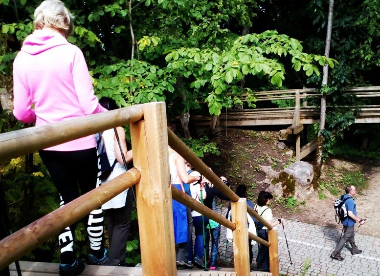 Picture 2 for Activity Gauja National Park Guided Hiking Tour