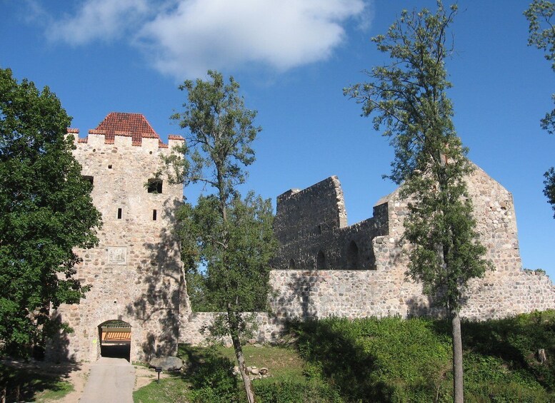 Picture 4 for Activity Gauja National Park Guided Hiking Tour