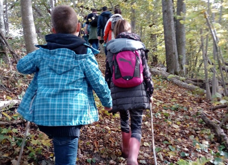 Picture 6 for Activity Gauja National Park Guided Hiking Tour