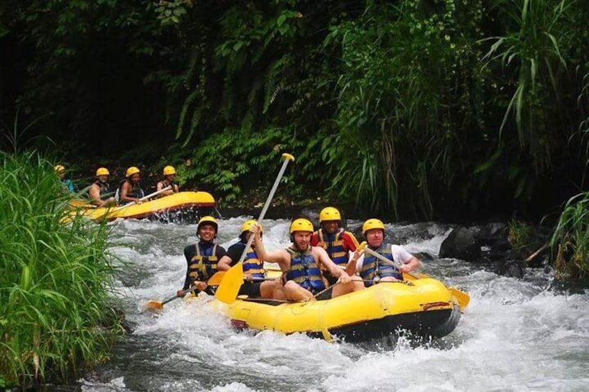Ubud White Water Rafting with Private Transfer & Lunch