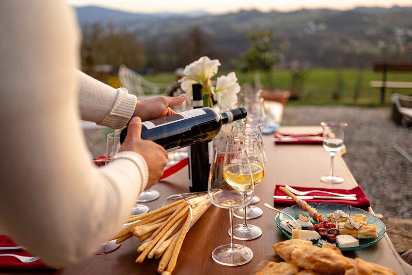 Picture 11 for Activity Langhe: Sunset Truffle Hunting with Tasting and Wine
