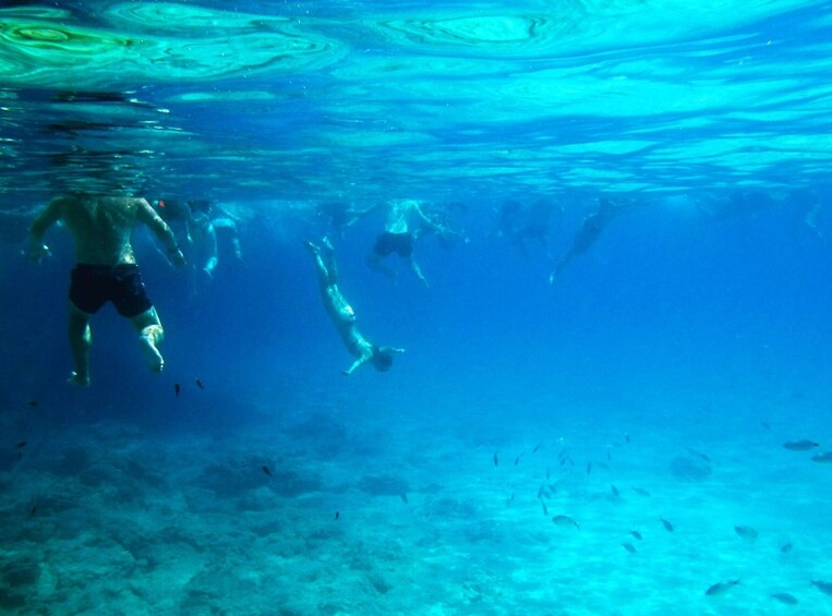 Pafos Zoo Visit & Blue Lagoon Cruise
