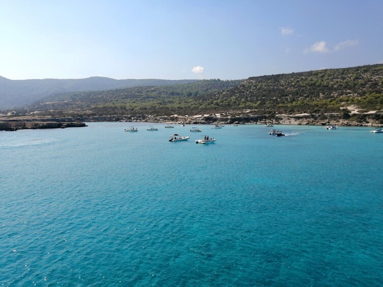 Pafos Zoo Visit & Blue Lagoon Cruise