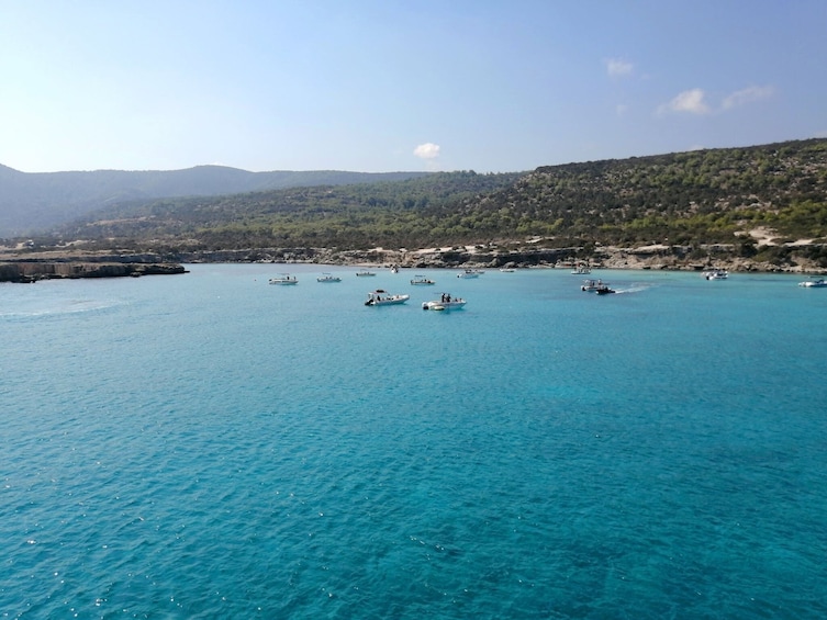Pafos Zoo Visit & Blue Lagoon Cruise
