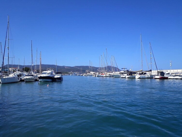 Pafos Zoo Visit & Blue Lagoon Cruise