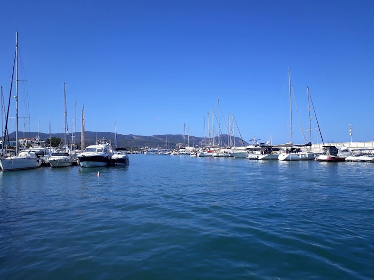 Pafos Zoo Visit & Blue Lagoon Cruise