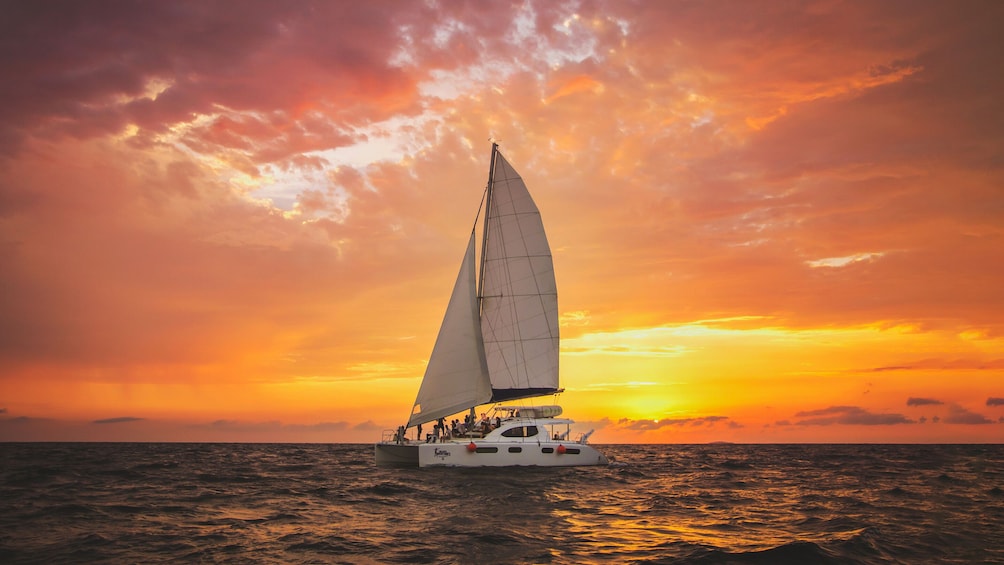 Luxury Sunset Sailing Cruise with Snacks and Open Bar Onboard