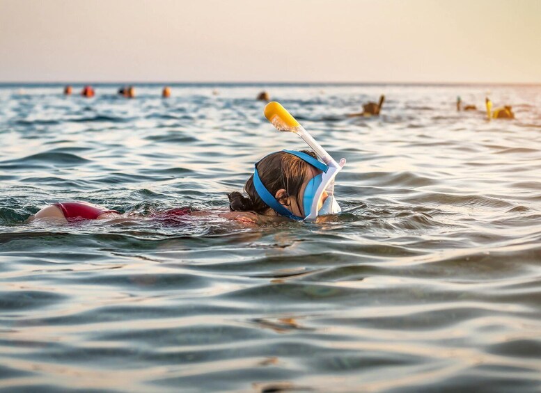 Picture 13 for Activity Muscat: Daymaniat Islands Snorkeling Tour with Refreshments
