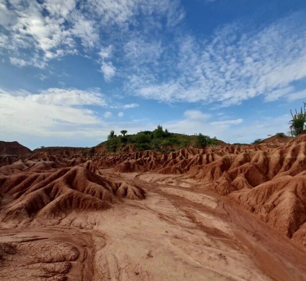Picture 2 for Activity Neiva: Guided Day Trip to the Tatacoa Desert with Lunch