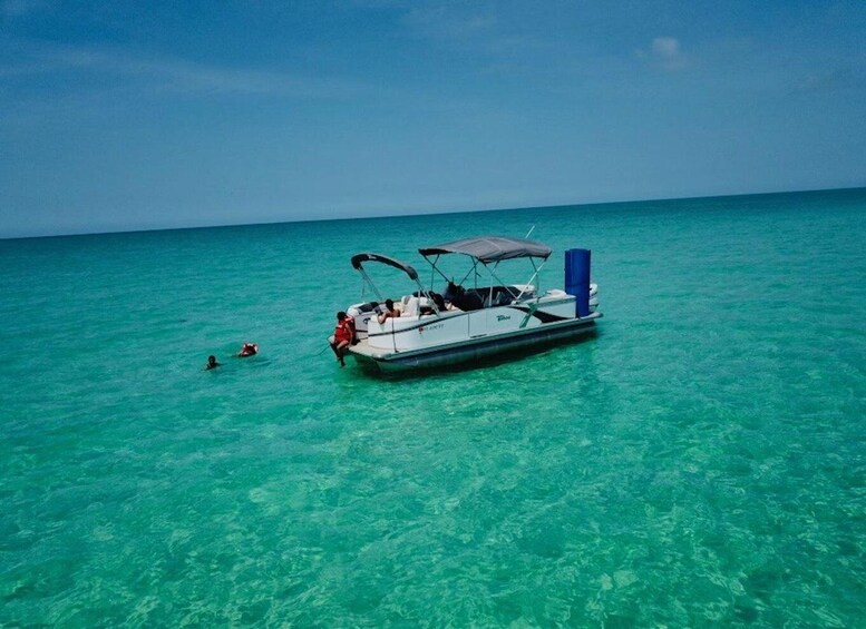 Picture 16 for Activity Clearwater Beach: Private Pontoon Tours