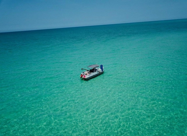 Picture 13 for Activity Clearwater Beach: Private Pontoon Tours