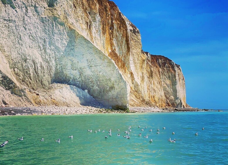 Picture 6 for Activity From Brighton: Seven Sisters Boat Tour