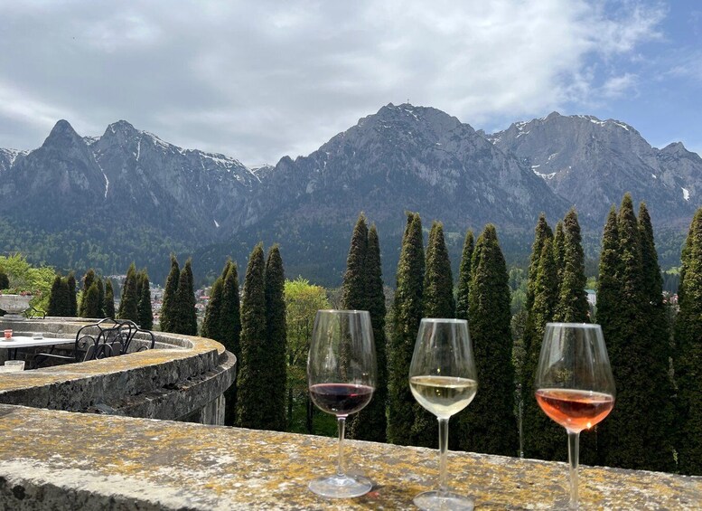 Picture 1 for Activity Peles & Cantacuzino Castles: Gourmet Wine & Cultural trip