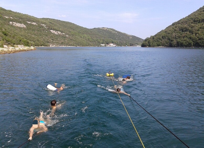 Picture 8 for Activity Vrsar: Dolphin Watching and Sightseeing Private Day Cruise