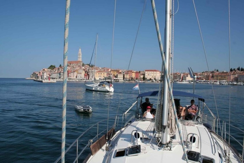 Picture 3 for Activity Vrsar: Dolphin Watching and Sightseeing Private Day Cruise
