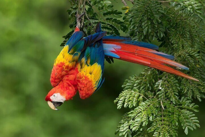 UTV Thrills & Horseback Adventure in Tropical Wildlife Paradise