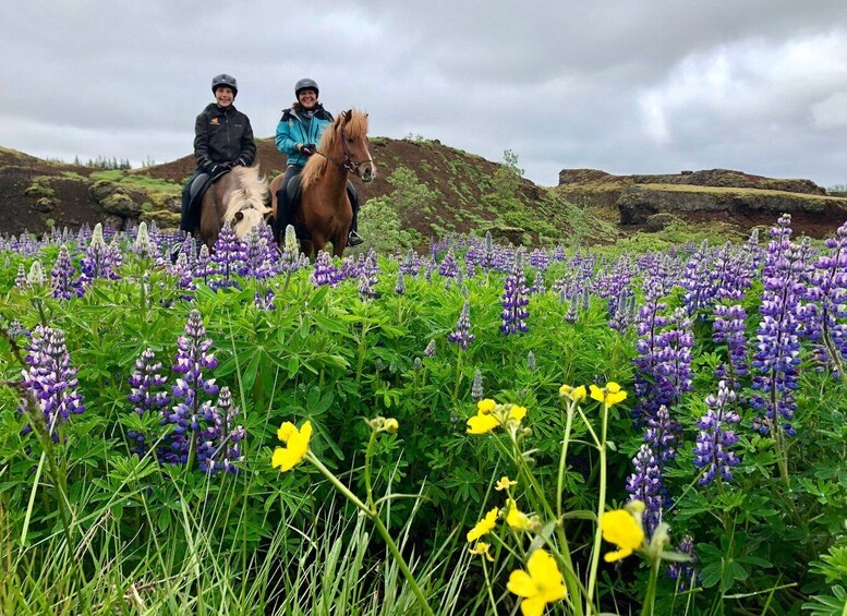 Picture 7 for Activity Reykjavik: Small-Group Horse Riding Tour with Pickup