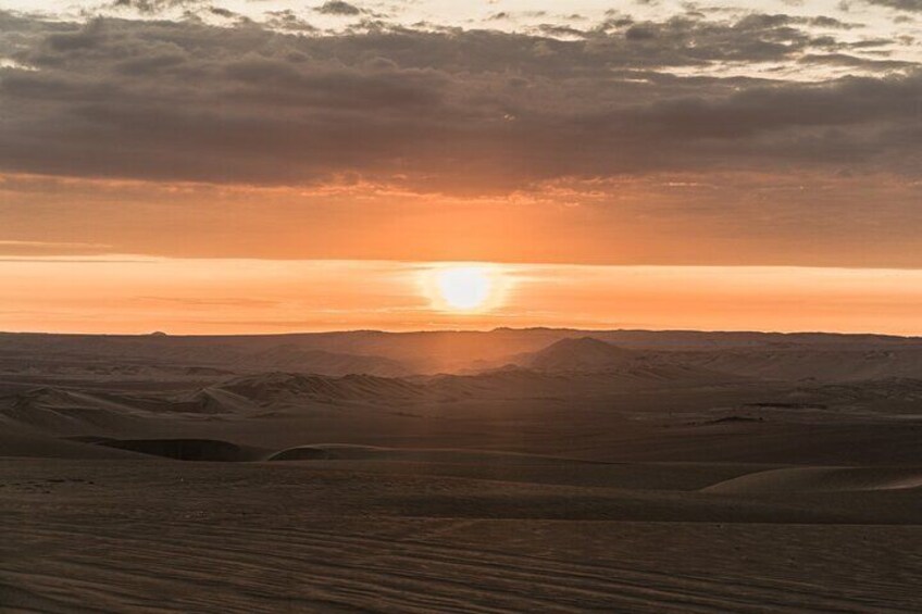 Private Daytrip to Huacachina and Paracas from Lima