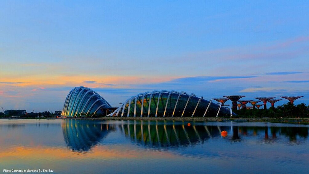 Gardens by the Bay 2 Domes with Avatar Plus Free FunVee 2 Hours Tour