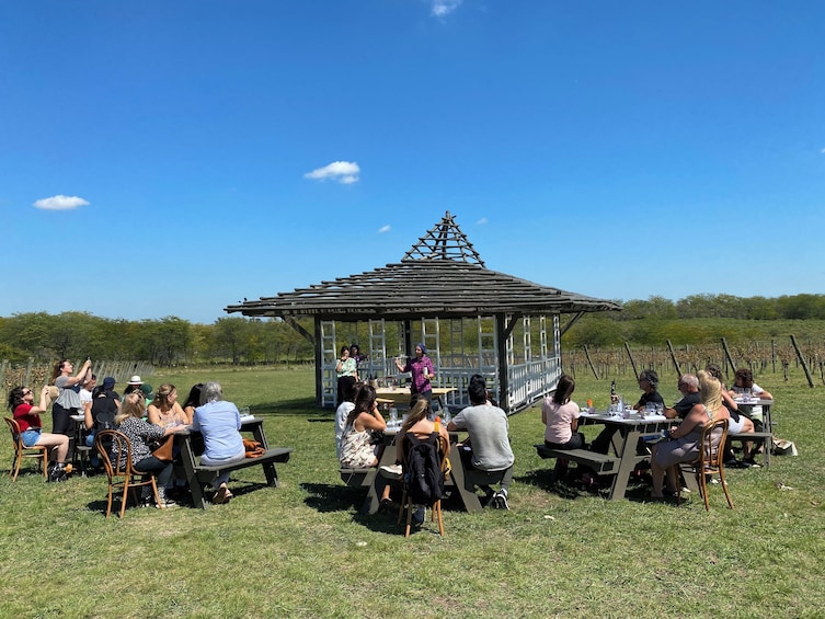 Small Group Wine Tasting in Bodega Gamboa with Lunch